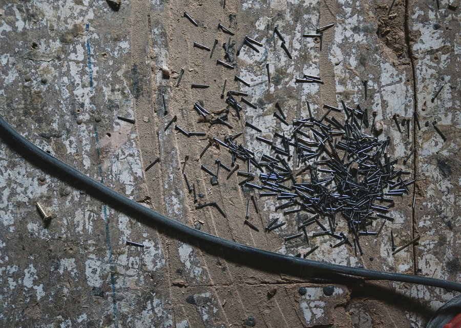 Pest treatment in Ehrhardt, SC