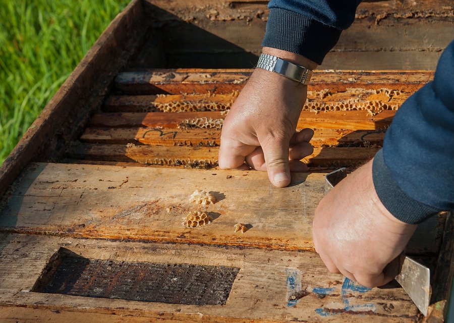 Best Eastern Exterminating Corporation pest control work in Blaine