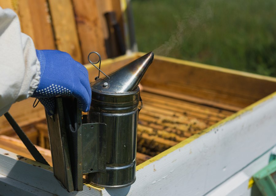 Local exterminator Cleves