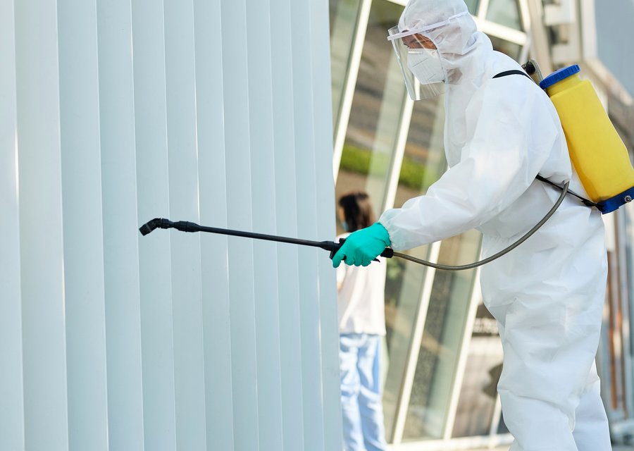 Local exterminator Carnegie