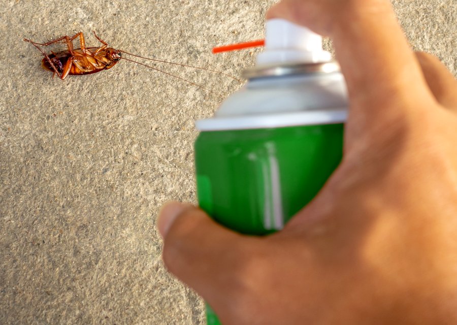 Bugstoppers Pest Control pest control work in Gardner