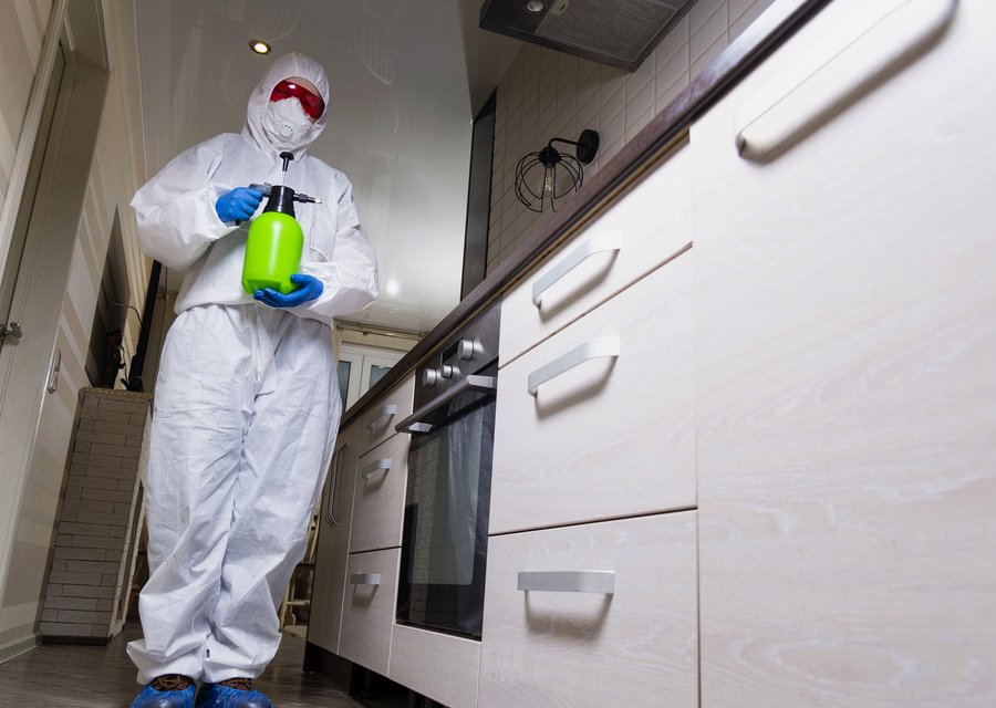 Pest treatment in Billerica, MA