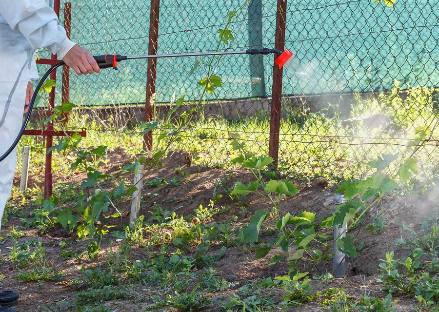 Pest treatment in Freeland, PA
