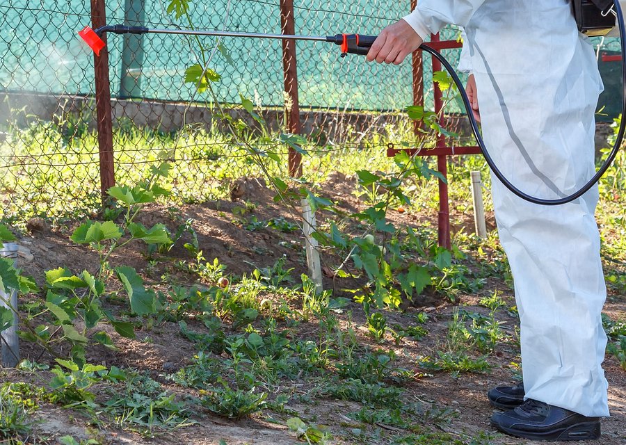 Harbinger Pest Control pest control work in Cohasset