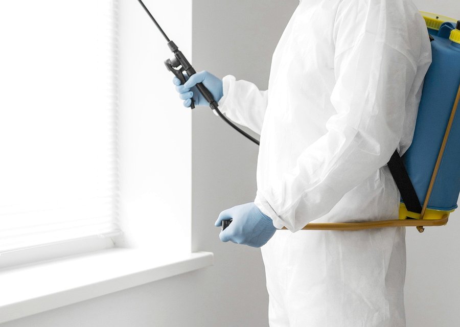 Bockerstette Termite & Pest pest control work in Cheraw