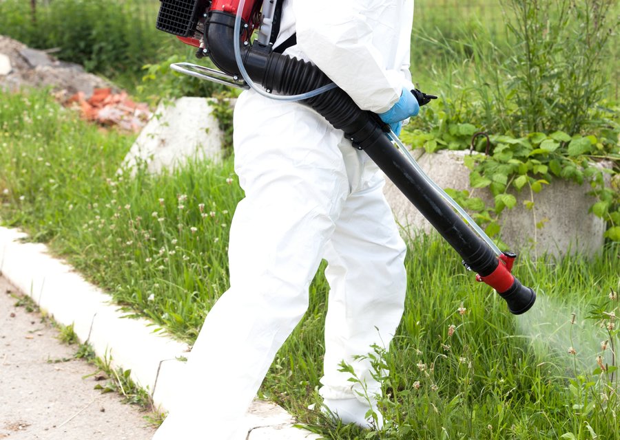 Local exterminator North Hempstead