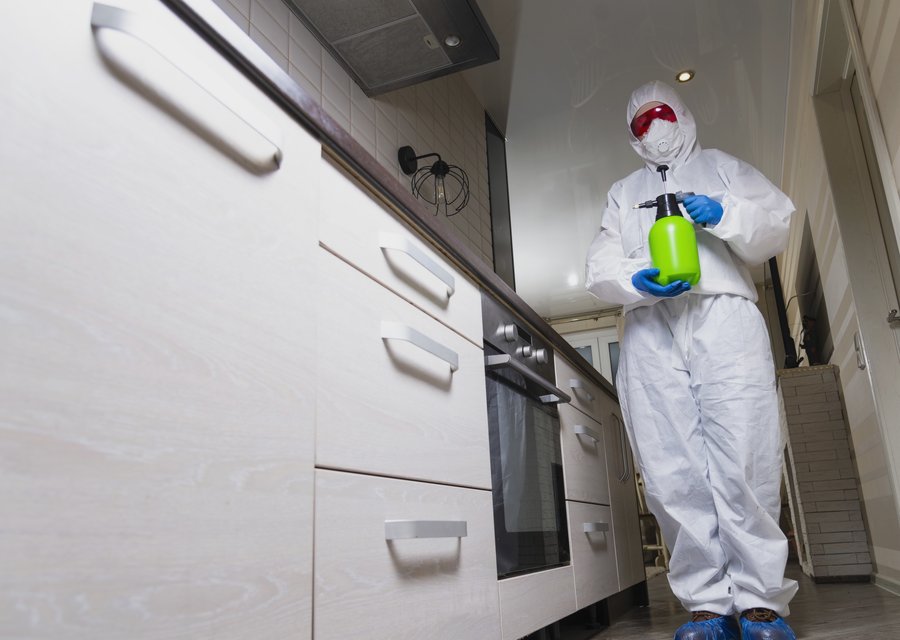 Pest treatment in Brownsboro, TX