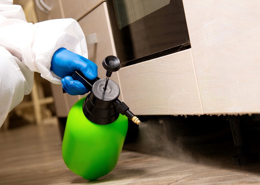 Pest treatment in Brielle, NJ