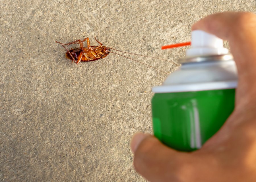 Blitz Pest Control pest control work in Coatesville