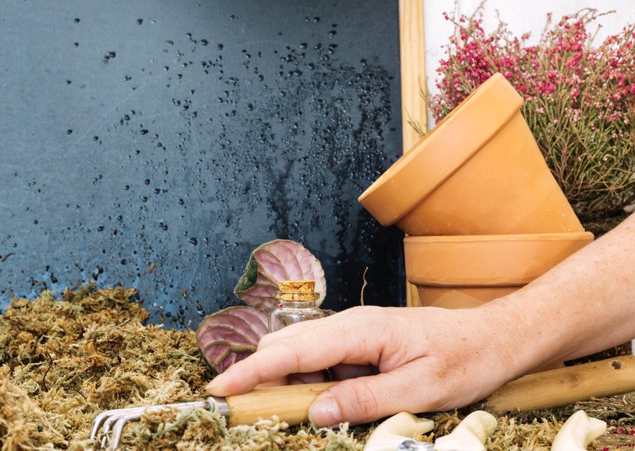 Pest treatment in Coatesville, PA