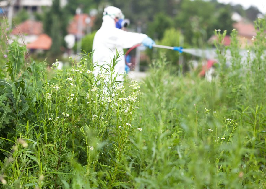 Hunter Pest Services pest control work in Gladstone