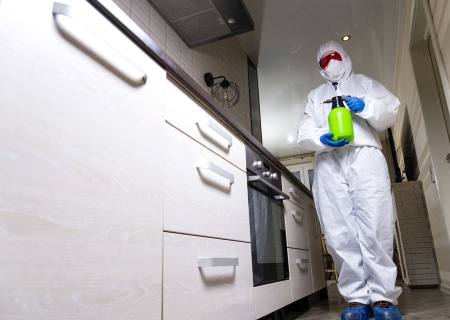 Pest treatment in Waterford, NJ