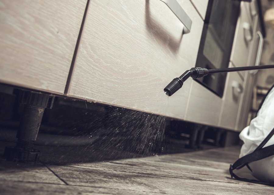 Local exterminator Egg Harbor City