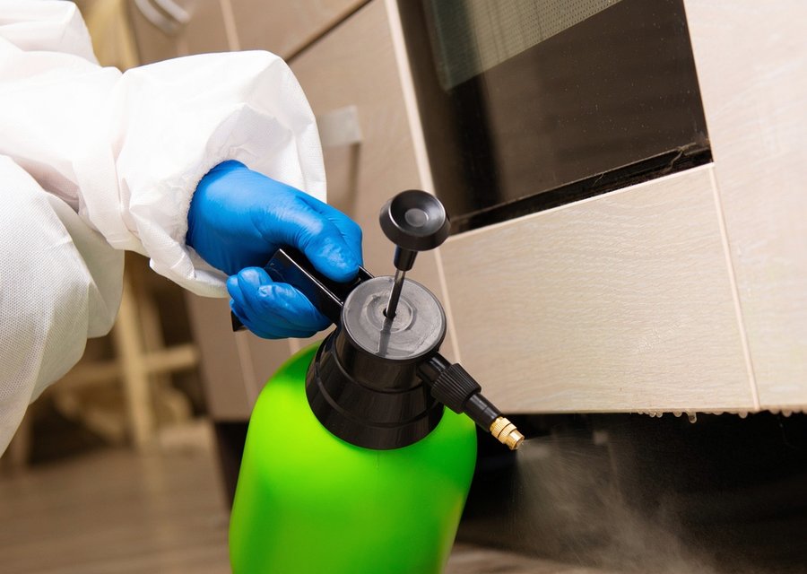 Mantis Pest Control LLC pest control work in Comfort