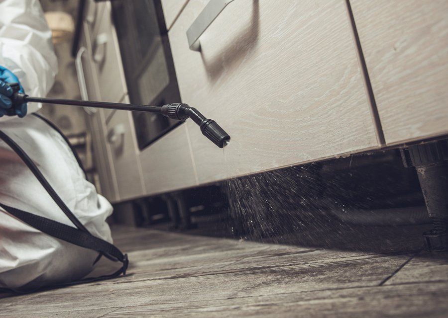 Mid America Termite & Pest pest control work in Estacada