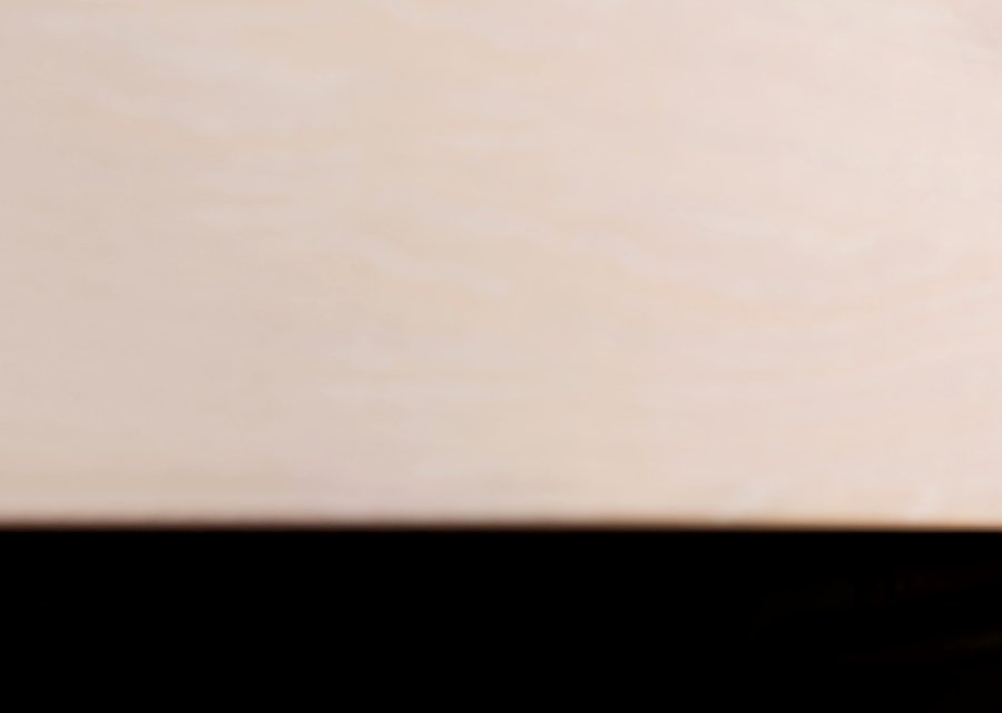 Pest treatment in Deal, NJ