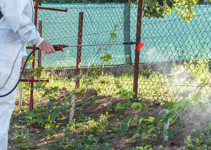 Mosquito Marshals pest control work in Farmington Hills
