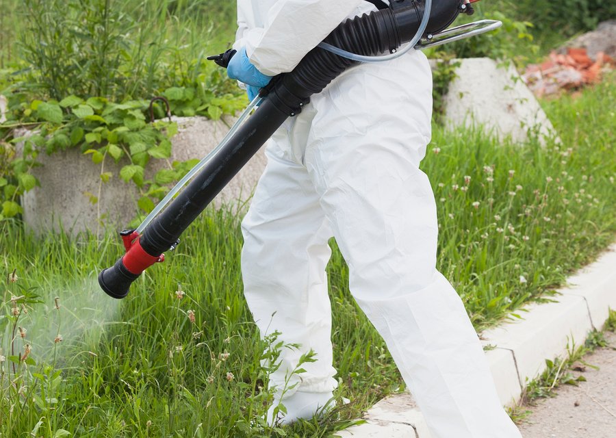 Accurate Pest Control LLC pest control work in Brookhaven