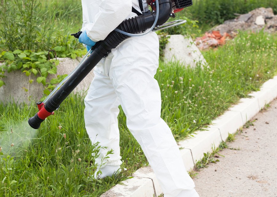 License To Kill Pest Control LLC pest control work in Fort Gratiot