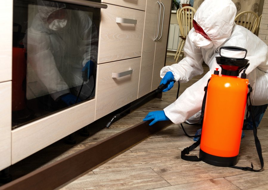 Pest N Peace Pest Control pest control work in Buchanan