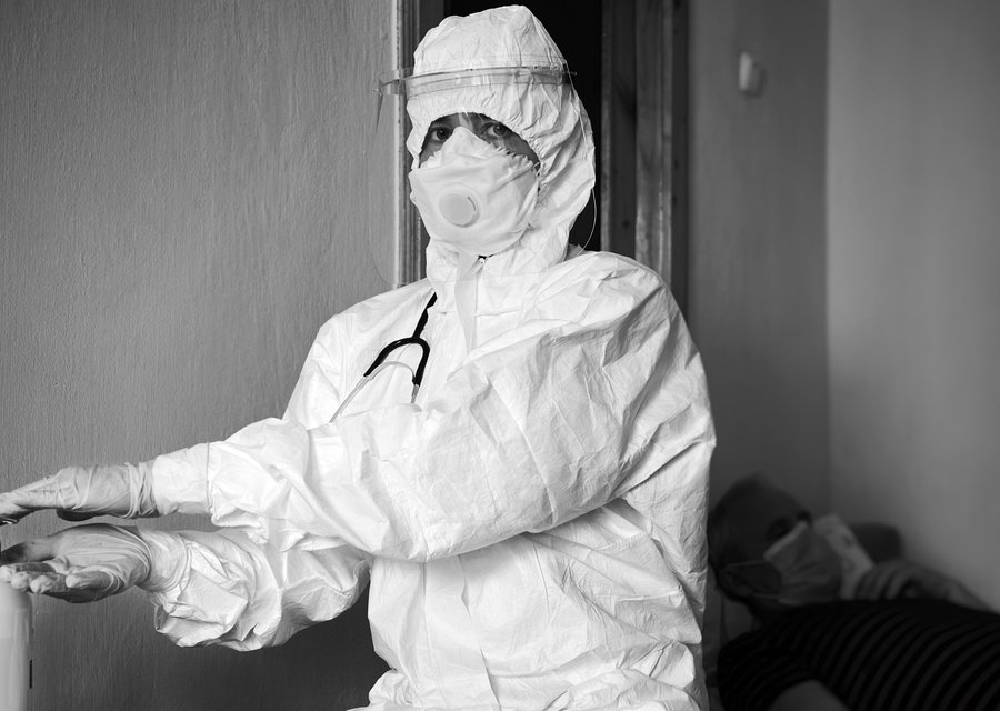 Bees Bats and Beyond pest control work in Findlay