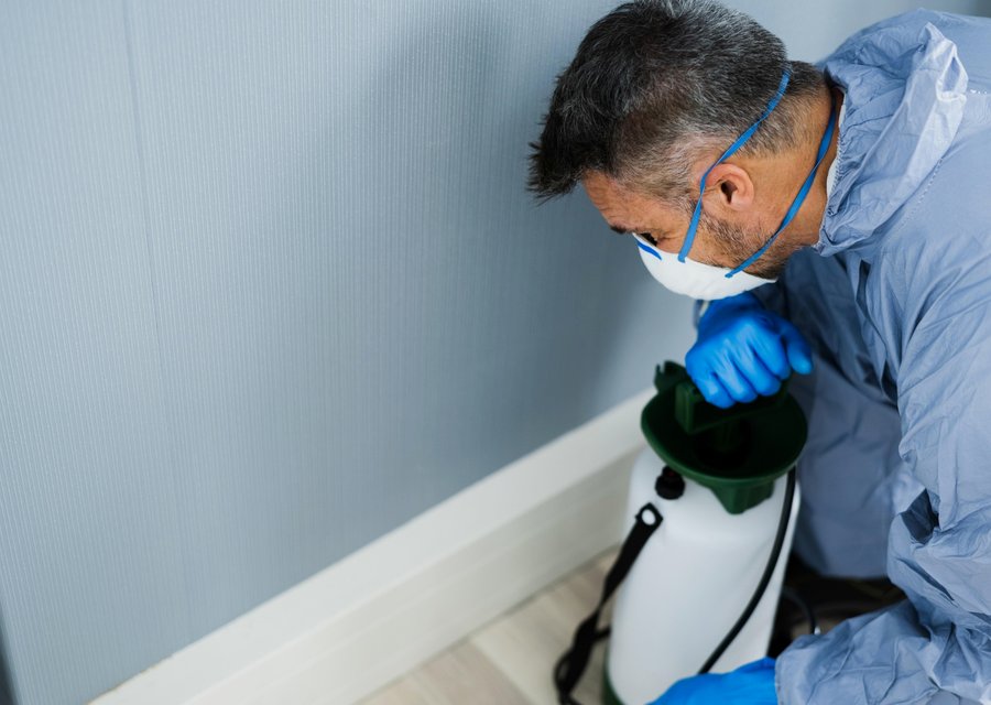 Local exterminator Burnsville