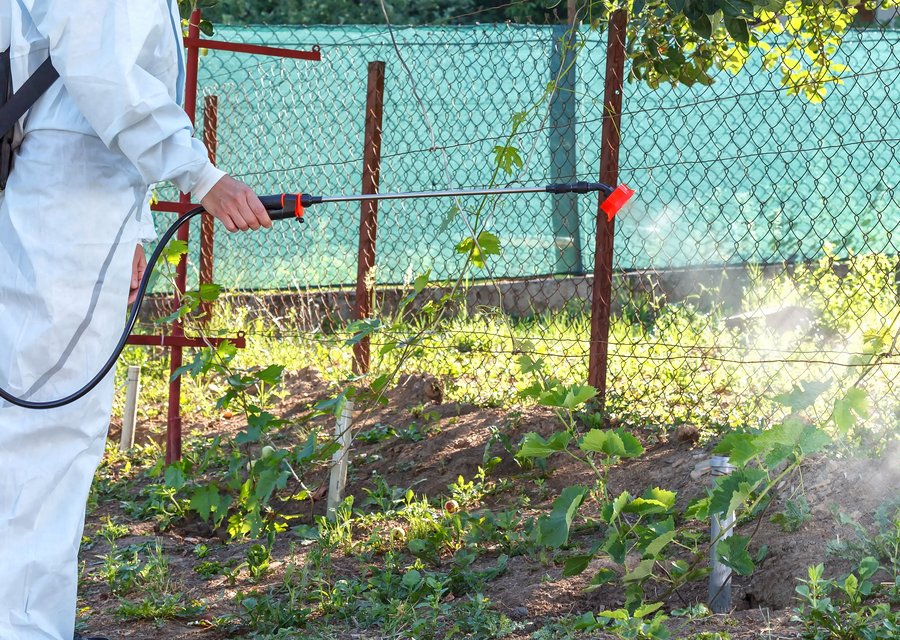 Best Pest Control pest control work in Bordentown