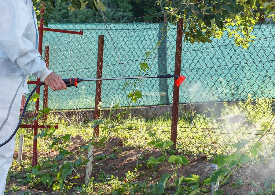 Acorn Industrial Weed Control pest control work in Cartersville