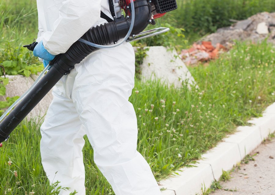 Local exterminator Athol