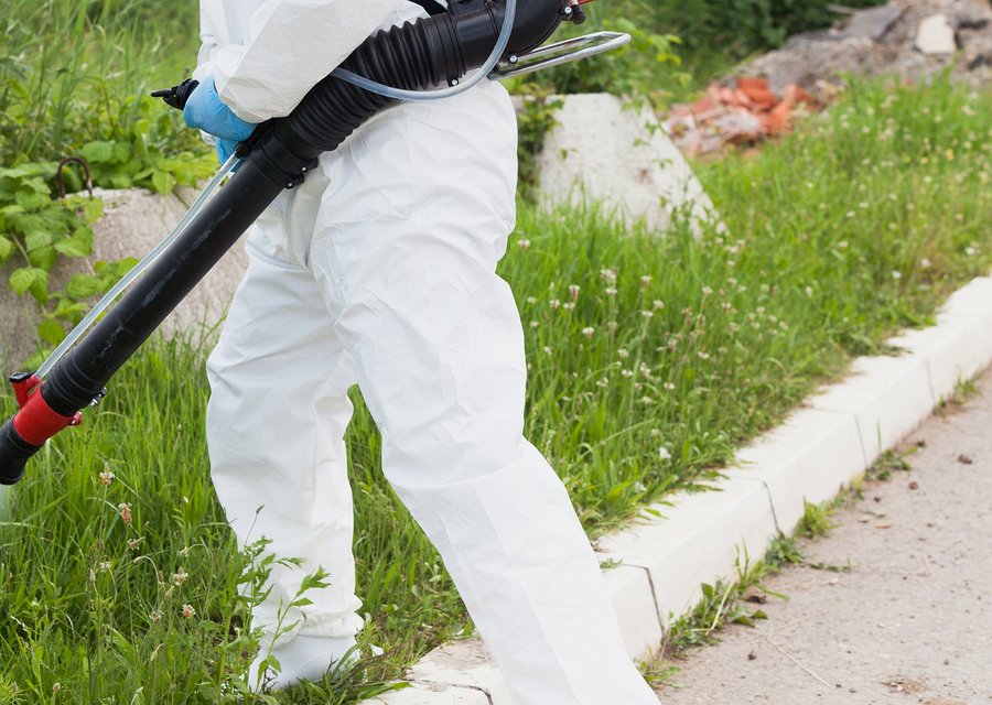 Pest treatment in Clifton Heights, PA