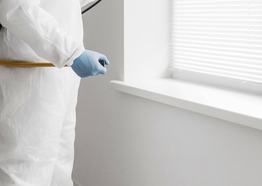 Pest treatment in Union, OH