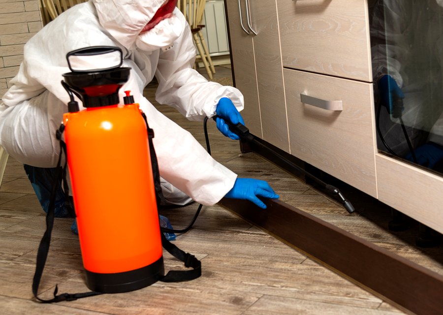 Pest treatment in Center, PA