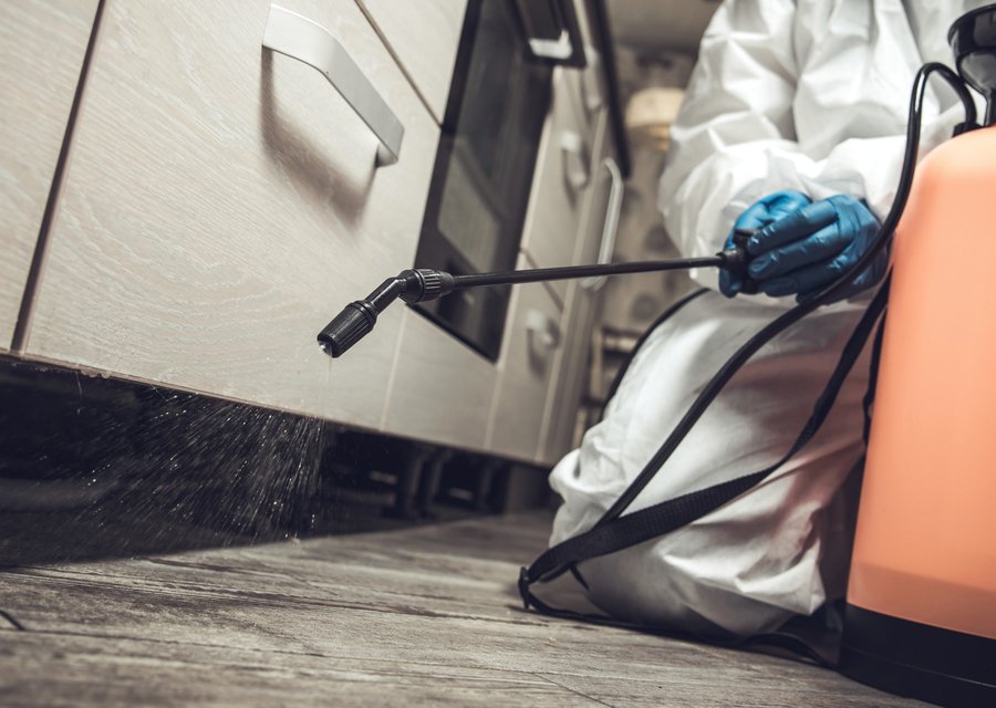 Local exterminator Lehigh