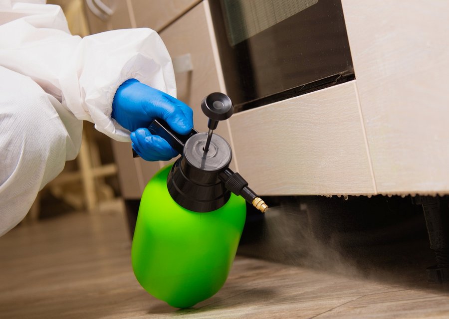 Bold Servicing pest control work in Aiken
