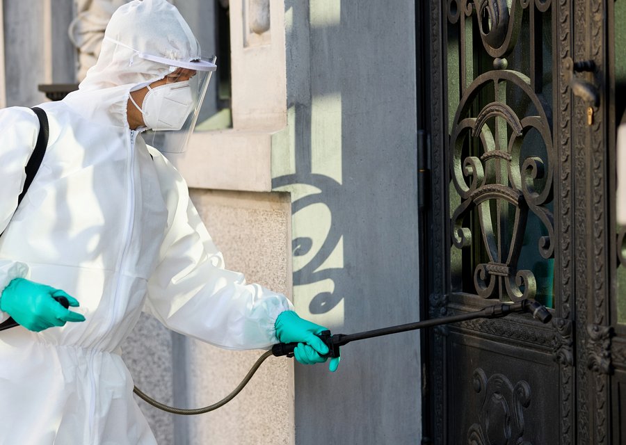 Pest treatment in Geneseo, NY