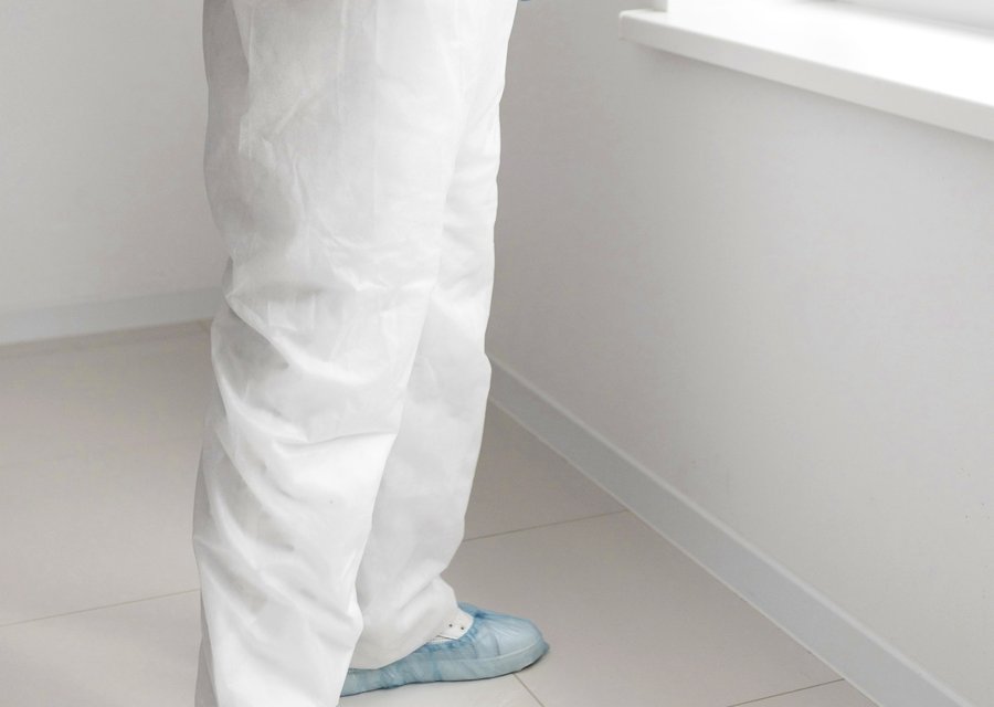 Local exterminator East Liverpool