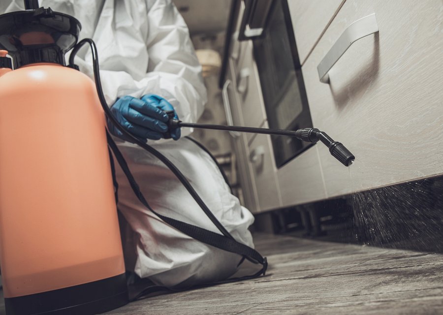 Mosquito Remediation pest control work in Fernandina Beach