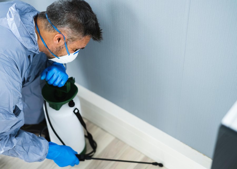 Pest treatment in Fernandina Beach, FL