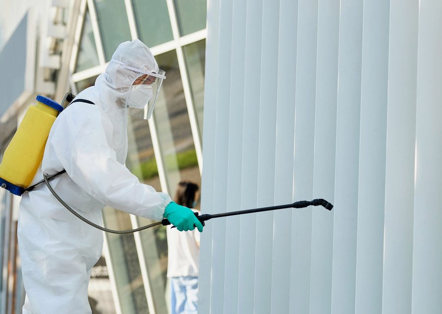 Pest treatment in Grand Island, NY