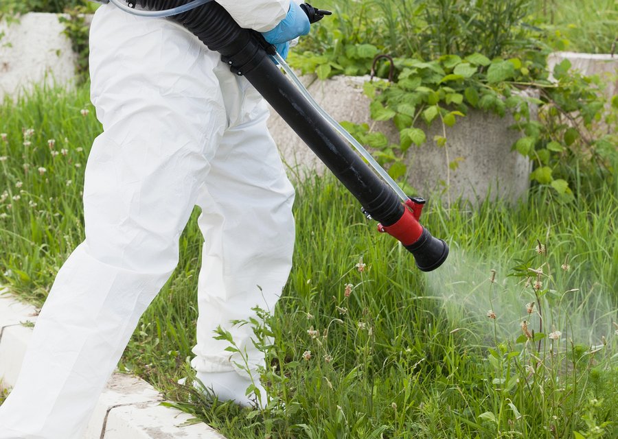 Pest treatment in Straban, PA