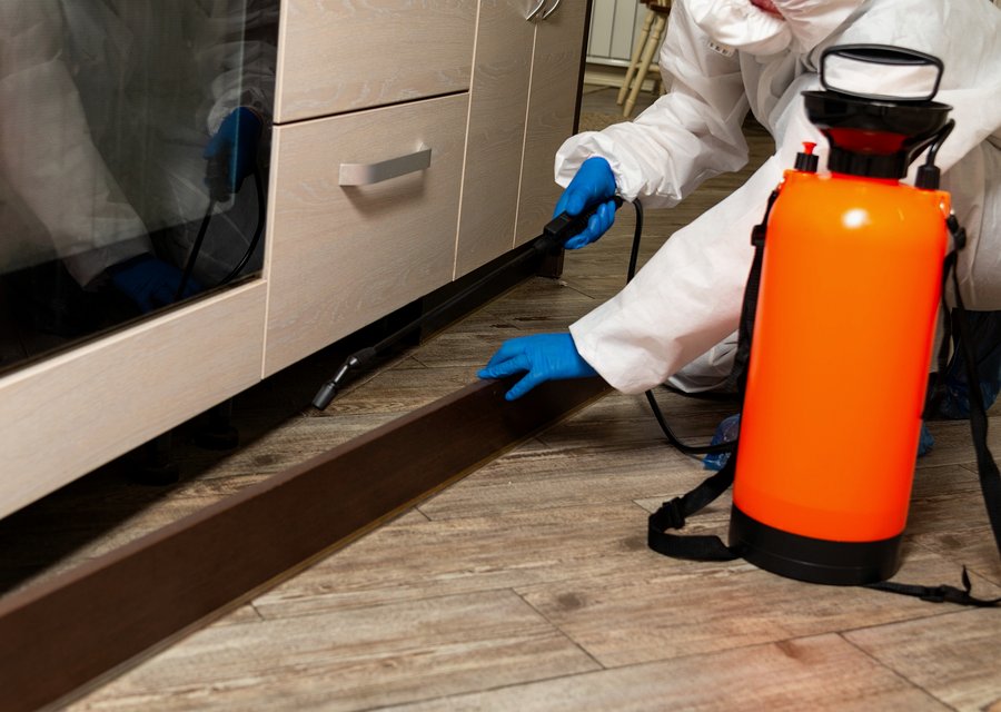 Braness Pest Control pest control work in Davison