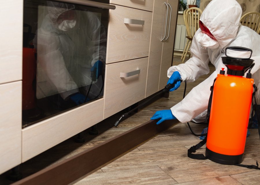 Assure Pest Services pest control work in Bartow
