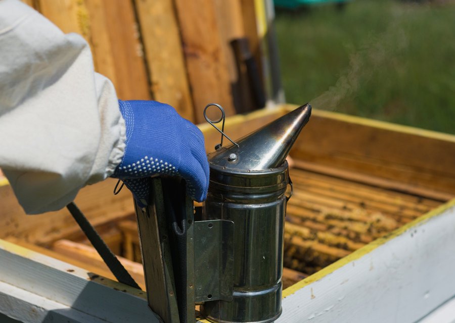 A1 Exterminators pest control work in Frisco