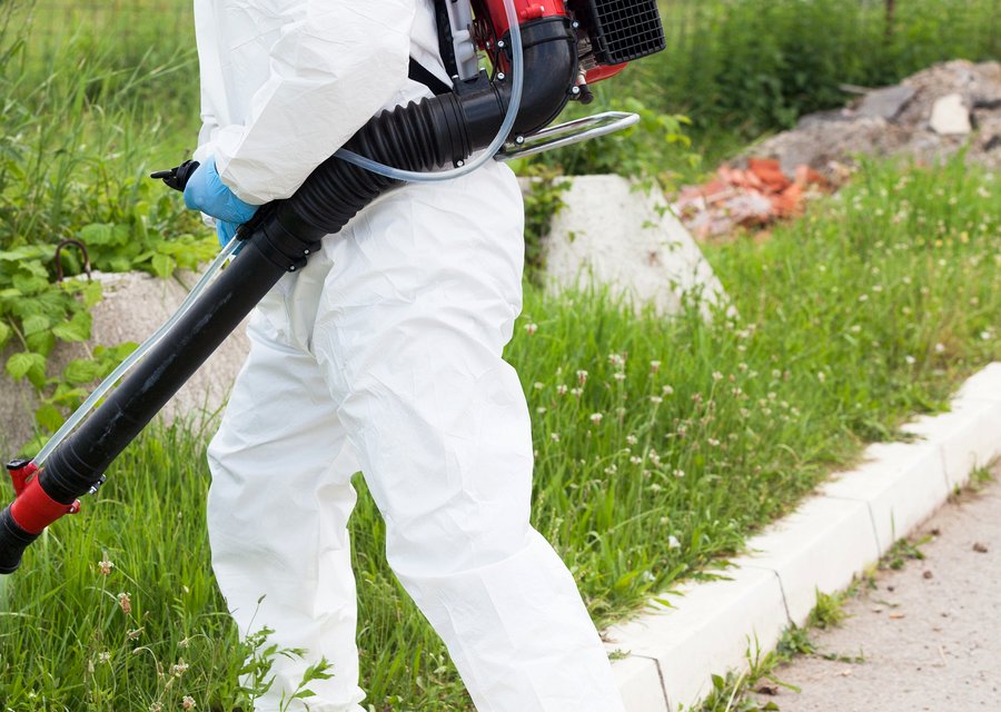 Bulwark Exterminating pest control work in Middle