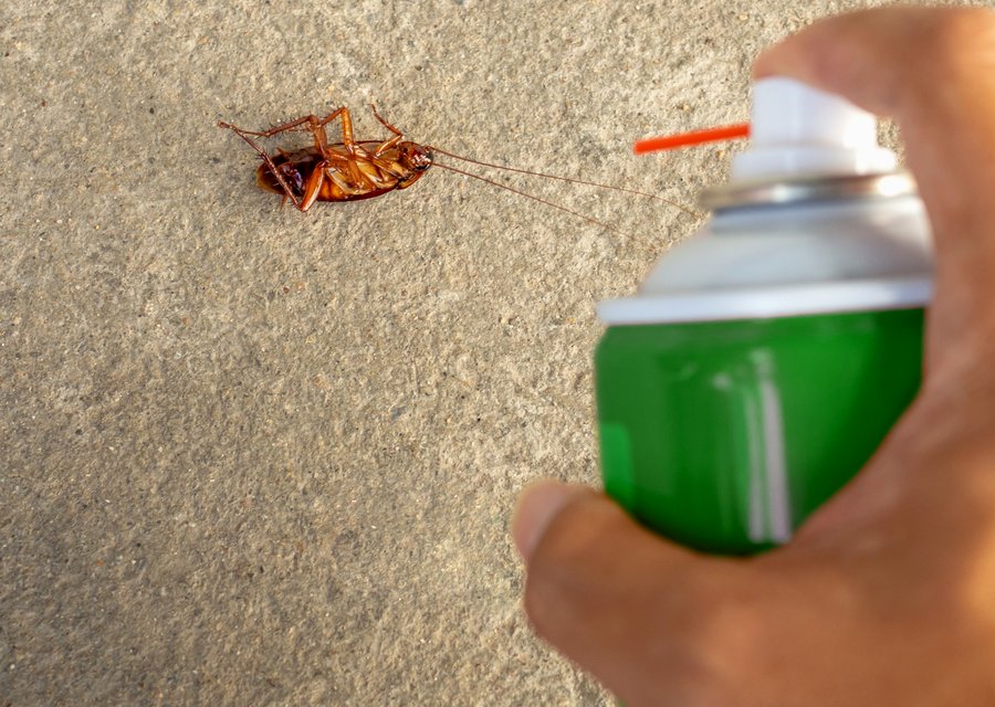 Local exterminator Chambersburg