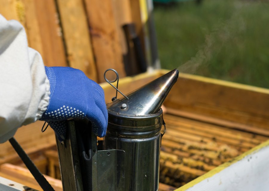 Holifield Pest Management pest control work in New York