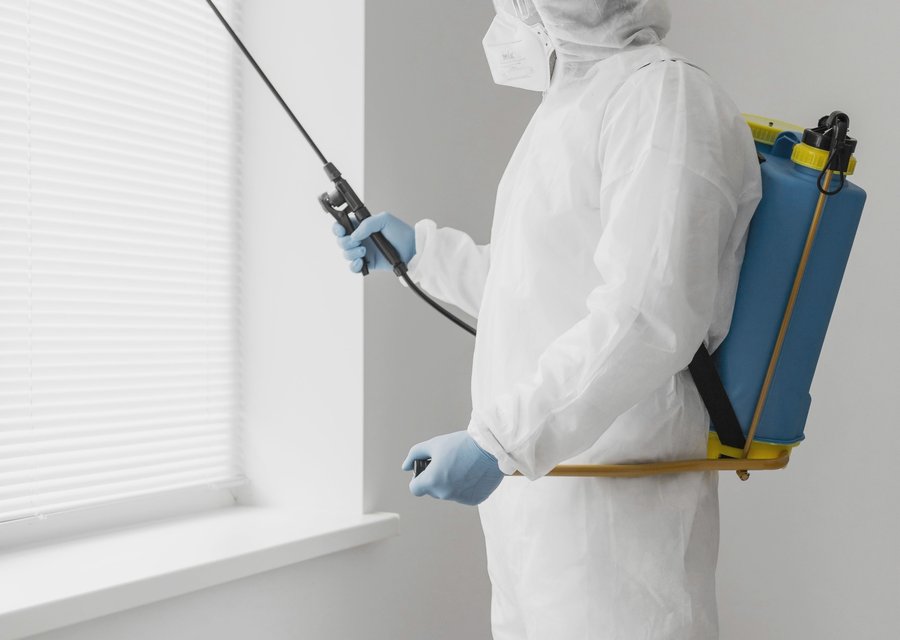Local exterminator New York