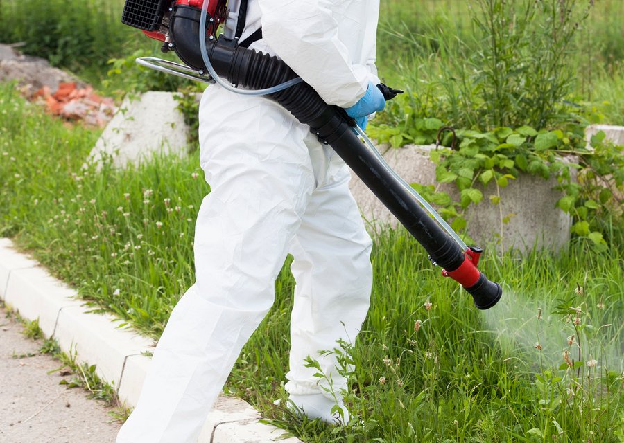East Central Exterminating pest control work in West Vincent
