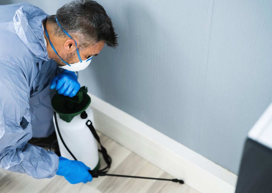 Local exterminator Flemingsburg