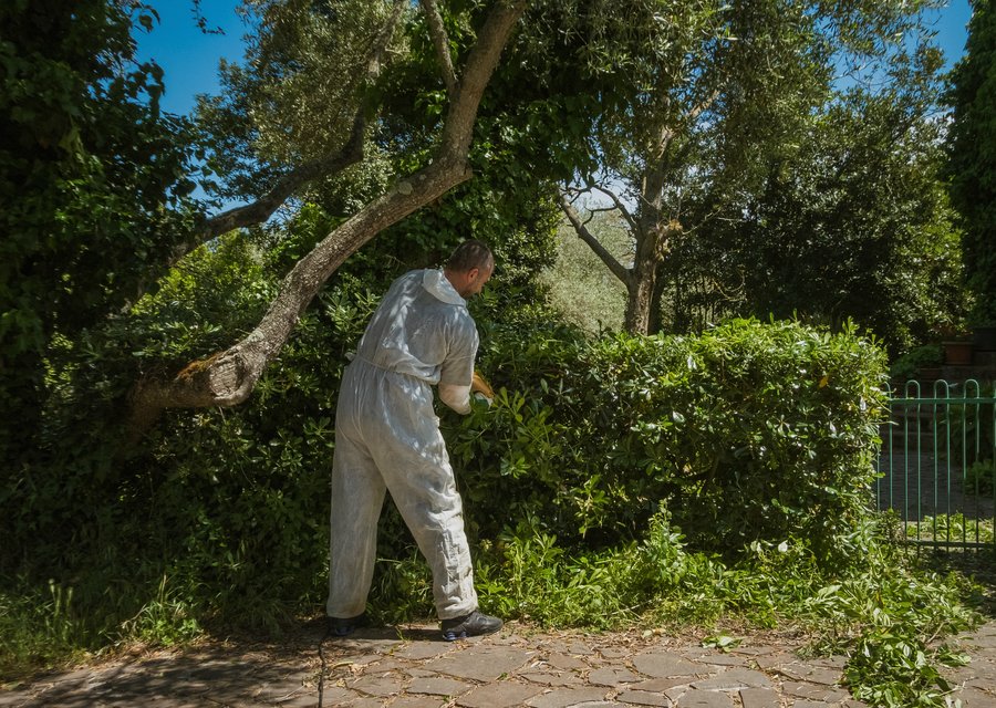 Mosquito Joe pest control work in Carroll
